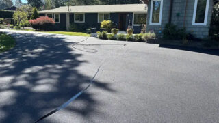 Landscape Gallery Image 4